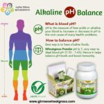 Alkalizing Your Body: The Science Behind Wheatgrass and the Story of pH Balance