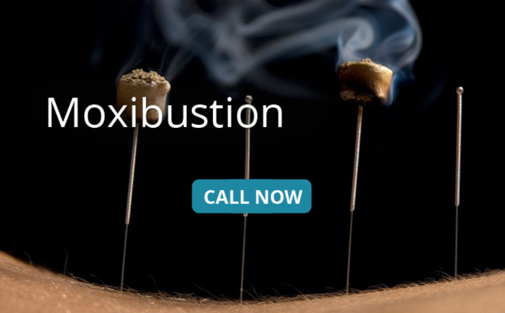 Beyond Moxibustion: Unearthing the Therapeutic Tapestry of Artemisia vulgaris