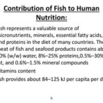 Beyond Protein: The Ocean’s Hidden Treasures – Vital Micronutrients Uniquely Abundant in Seafood