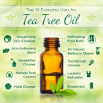 Beyond the Blemish: 5 Surprising Ways Tea Tree Oil Improves Your Complexion