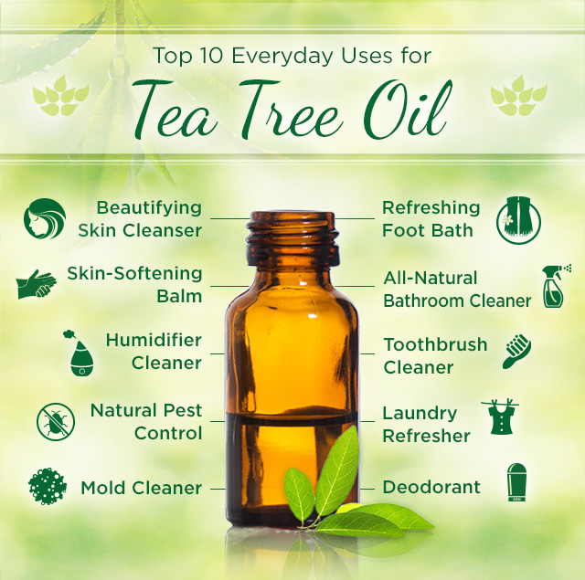 Beyond the Blemish: 5 Surprising Ways Tea Tree Oil Improves Your Complexion