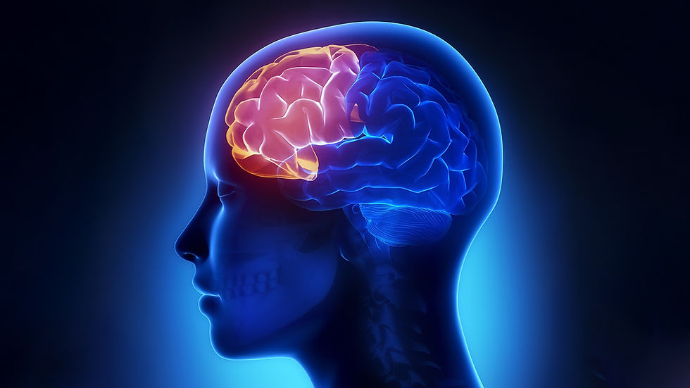 Beyond the Blues: How Peer Support Rewires the Brain Against Depression