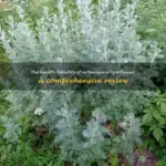 Beyond the Green Fairy: Unveiling the Ancient Wisdom and Modern Science of Artemisia absinthium