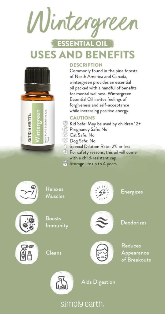 Beyond the Minty Aroma: Unveiling the Profound, Scientifically-Backed Benefits of Wintergreen Infusions