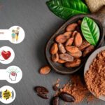 Beyond the Mug: 7 Surprising Health Benefits of Your Morning Cocoa