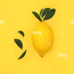 Beyond Vitamin C: Exploring the Complex Flavonoids in Your Morning Lemon