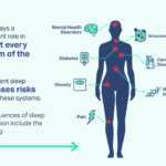 Biological Alchemy: Turning 8 Hours of Sleep into Peak Physical Health
