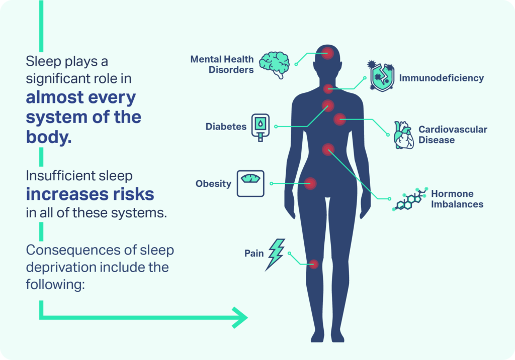 Biological Alchemy: Turning 8 Hours of Sleep into Peak Physical Health