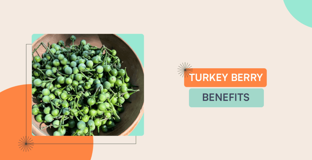 Bitter is Better: Discovering the Hidden Health Secrets of the Turkey Berry