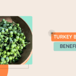 Bitter is Better: Discovering the Hidden Health Secrets of the Turkey Berry