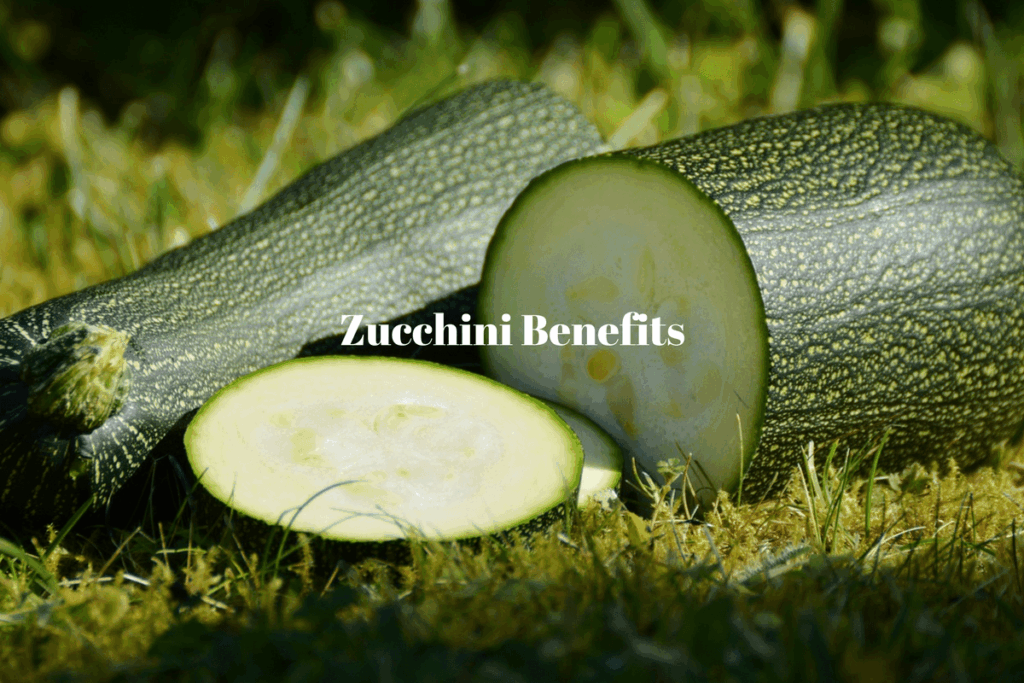 Bloat-Busting Squash: How Zucchini Improves Digestion and Gut Health – A Story of Unsung Heroism