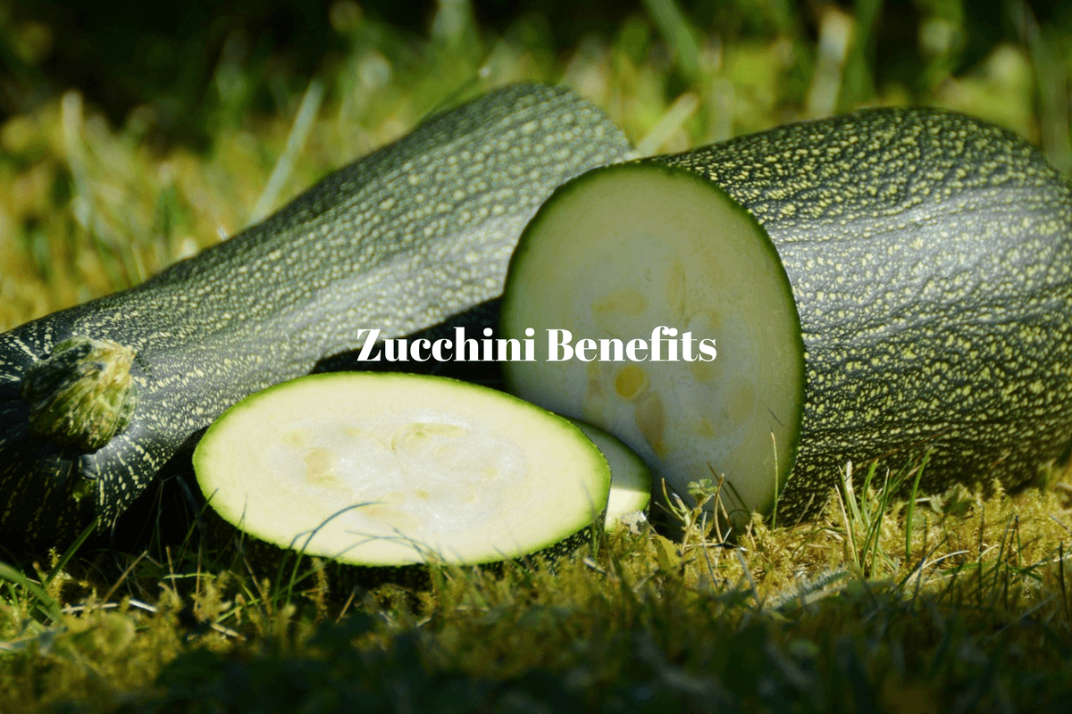 Bloat-Busting Squash: How Zucchini Improves Digestion and Gut Health – A Story of Unsung Heroism