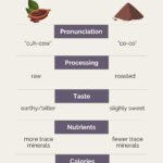 Cacao vs. Cocoa: Which One is Actually Better for Your Health? A Journey from Ancient Elixir to Modern Superfood