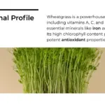 Chlorophyll and Beyond: A Deep Dive into the Nutritional Profile of Wheatgrass