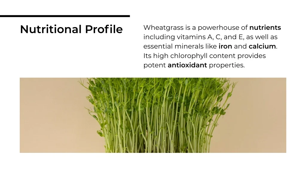 Chlorophyll and Beyond: A Deep Dive into the Nutritional Profile of Wheatgrass