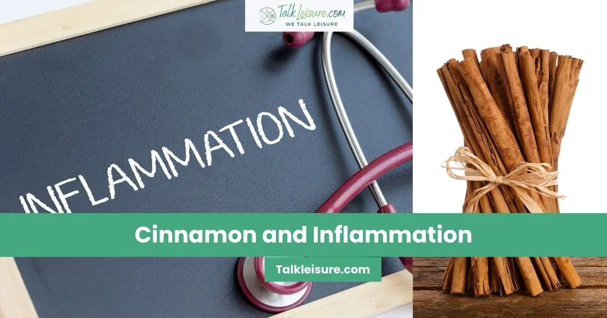 Cinnamon vs. Inflammation: A Deep Dive into Its Powerful Antioxidant Properties