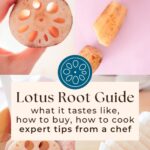 Crunchy, Nutty, and Healing: A Guide to Cooking with Lotus Root
