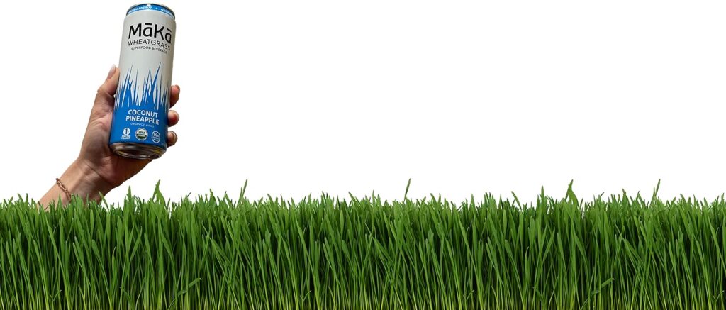 Fighting Fatigue: How Wheatgrass Provides a Caffeine-Free Energy Surge