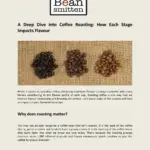 From Bean to Body: A Deep Dive into Coffee’s Metabolic Impact