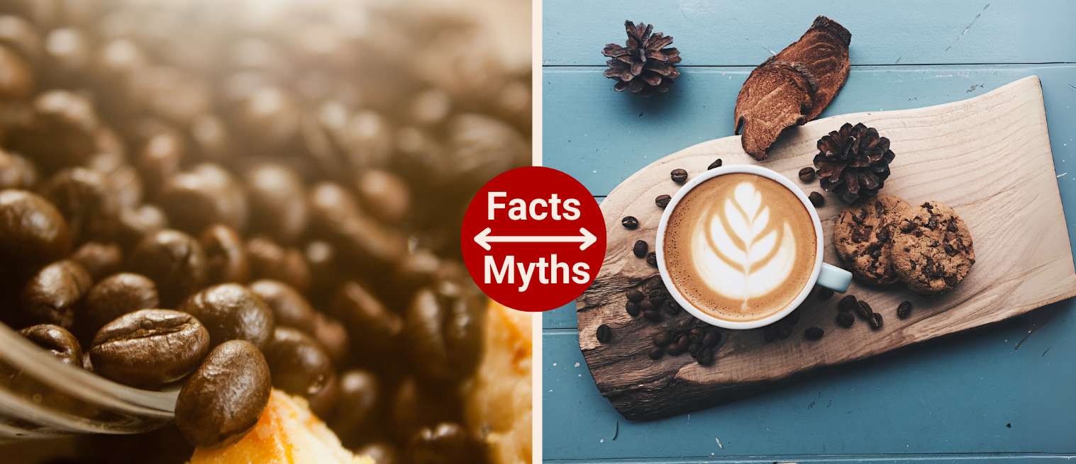 From Folklore to Physiology: Debunking Coffee Myths with the Precision of Science