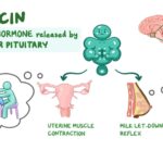 From Oxytocin to Immunity: The Unseen Symphony – 7 Science-Backed Health Benefits of Kissing