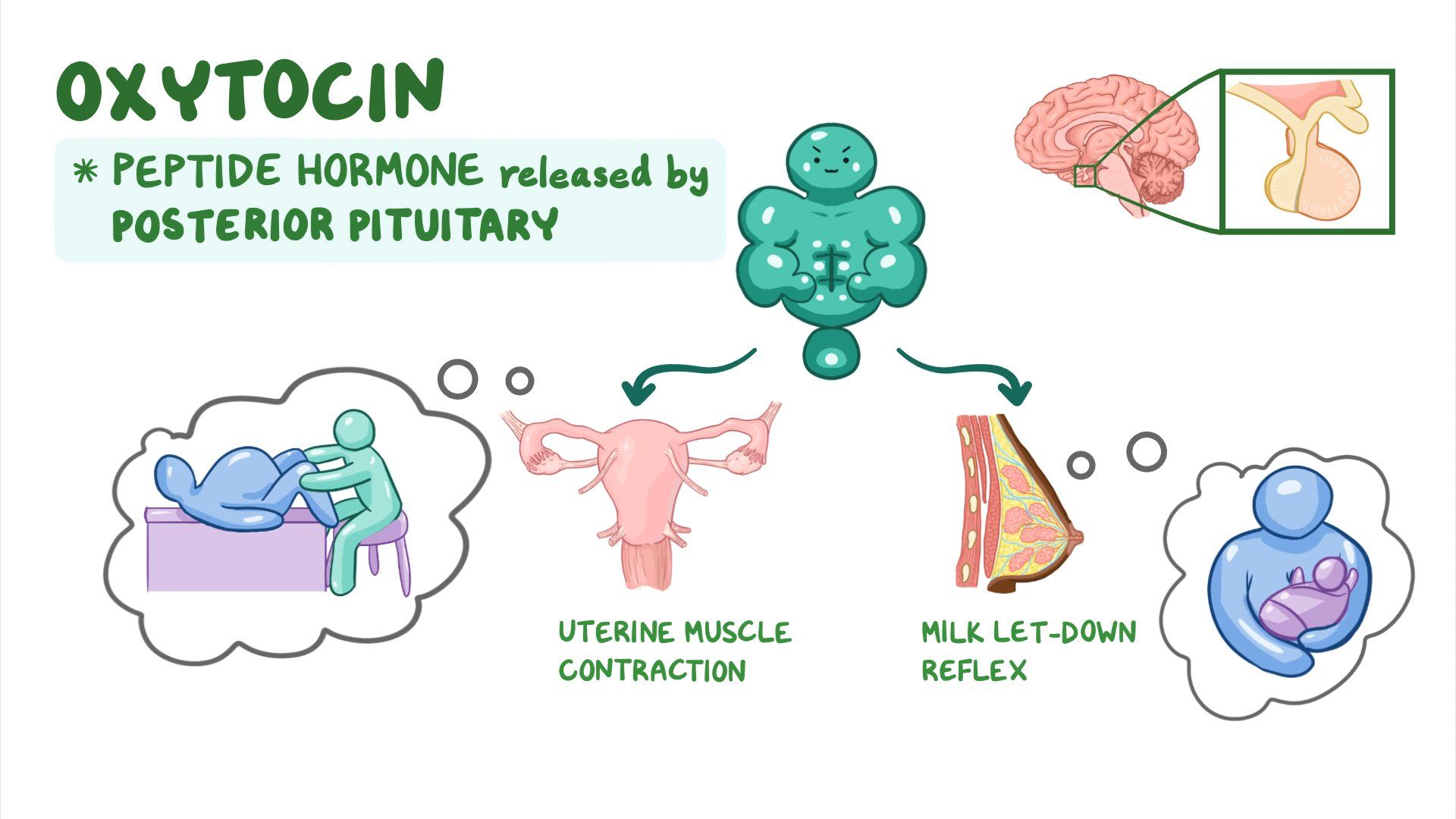 From Oxytocin to Immunity: The Unseen Symphony – 7 Science-Backed Health Benefits of Kissing