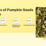 From Seed to Skin: A Complete Guide to Pumpkin’s Health Benefits