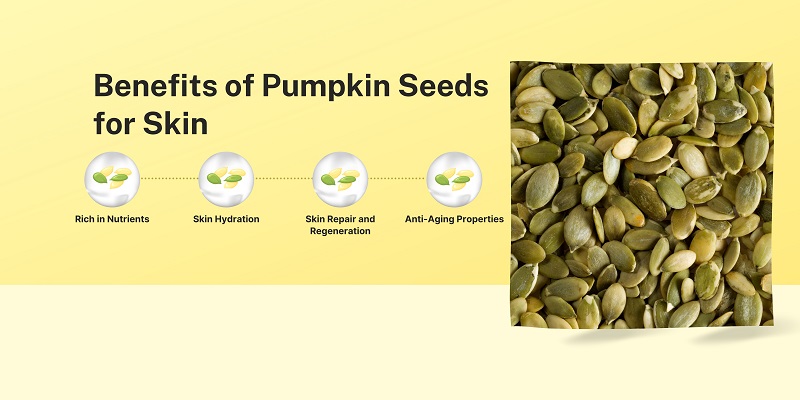 From Seed to Skin: A Complete Guide to Pumpkin’s Health Benefits