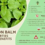 From Stress to Serenity: The Science of Lemon Balm for Better Sleep