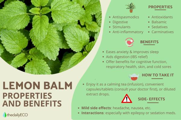 From Stress to Serenity: The Science of Lemon Balm for Better Sleep