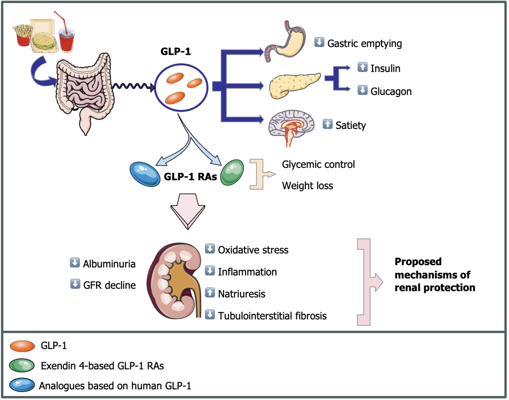 Glycemic Control and Beyond: Sumac’s Role in Managing Blood Sugar – A Journey from Ancient Wisdom to Modern Science