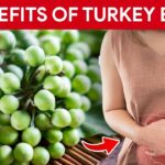 Gut Health Heroes: The Ancient Whisper of Turkey Berries in the Modern Digestive Saga