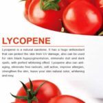 Heart-Healthy Red: How Lycopene in Tomatoes Protects Your Cardiovascular System