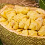 Jackfruit and Blood Sugar: Can This Tropical Fruit Help Manage Diabetes?