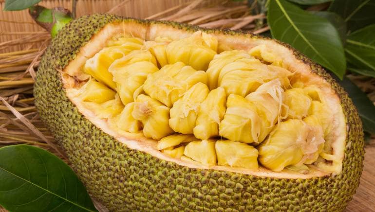 Jackfruit and Blood Sugar: Can This Tropical Fruit Help Manage Diabetes?
