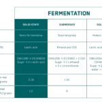 Liquid Gold: Exploring the Nutritional Profile of Fermented Soy