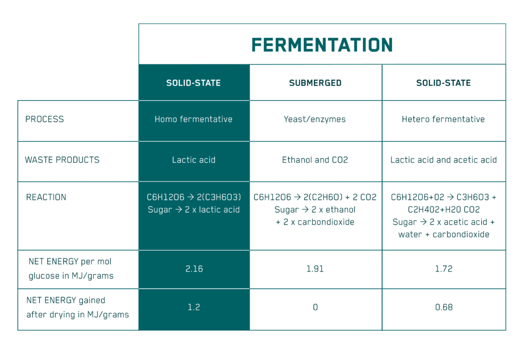 Liquid Gold: Exploring the Nutritional Profile of Fermented Soy