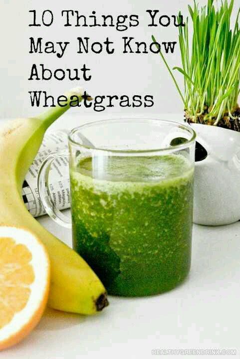Liquid Gold: Is Wheatgrass Really the Superfood We All Need?