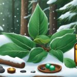 Liquid Relief: A Deep Dive into the Analgesic Properties of Wintergreen Leaves