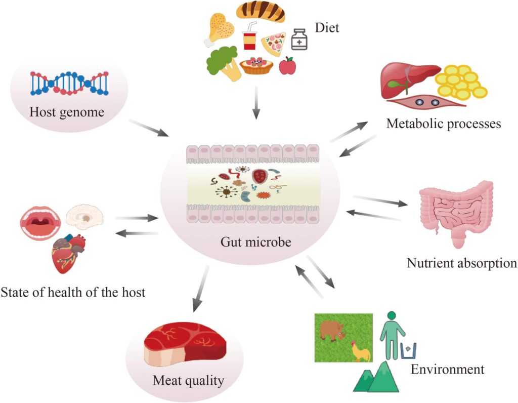 Muscle, Metabolism, and Microbes: The Triple Threat of Daily Yogurt