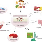 Muscle, Metabolism, and Microbes: The Triple Threat of Daily Yogurt