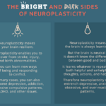 Neuroplasticity in the Dark: How Sleep Rewires Your Brain for Success