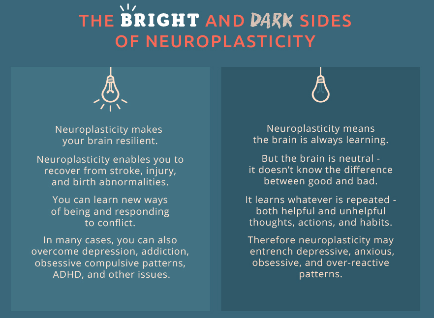 Neuroplasticity in the Dark: How Sleep Rewires Your Brain for Success
