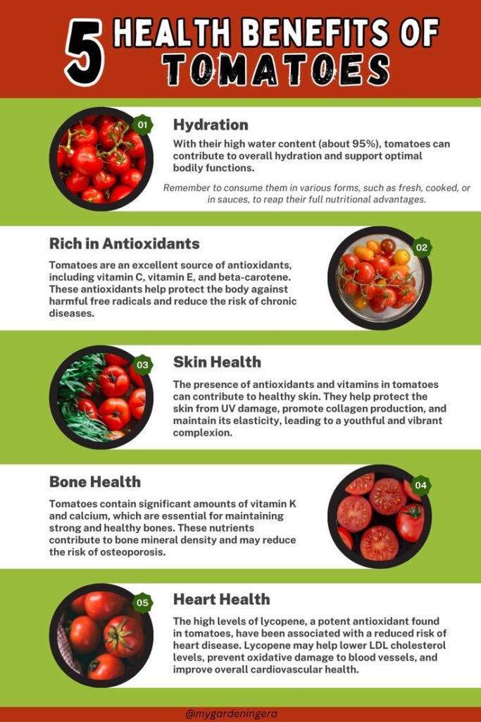 Red Hot Health: How Tomatoes Support a Vibrant Lifestyle