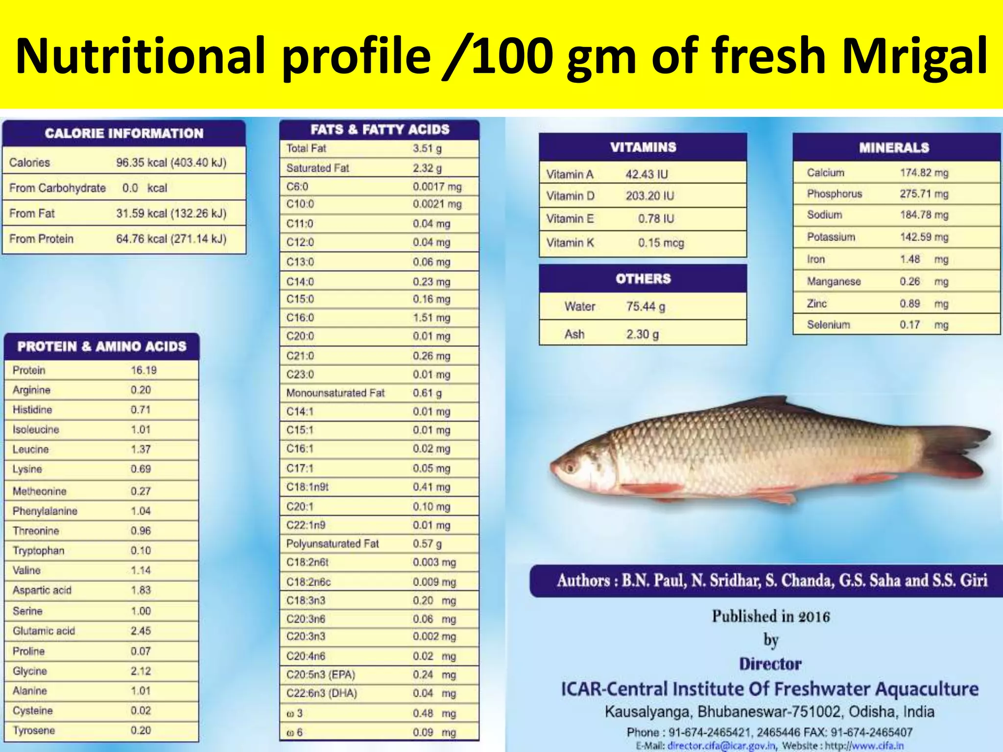 Small Fin, Big Impact: The Nutritional Powerhouse Hidden in Fish