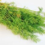 Small Leaves, Big Impact: 7 Reasons to Start Cooking with Dill Today