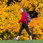 The Active Traveler: How Sightseeing Boosts Daily Step Counts Without the Gym