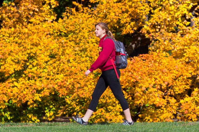 The Active Traveler: How Sightseeing Boosts Daily Step Counts Without the Gym