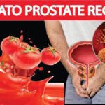 The Alchemist’s Secret: How Cooked Tomatoes Support Prostate Integrity – A Tale of Science, Flavor, and Longevity