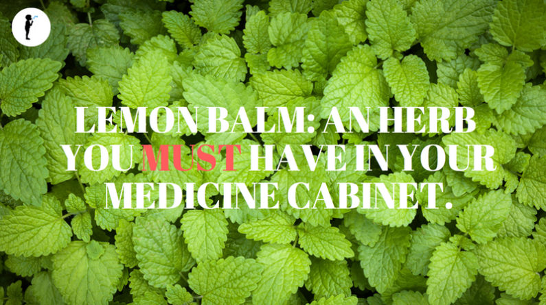 The All-In-One Apothecary: Why You Need Lemon Balm in Your Medicine Cabinet